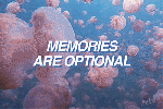 cxxii-memories-are-optional-peekaso